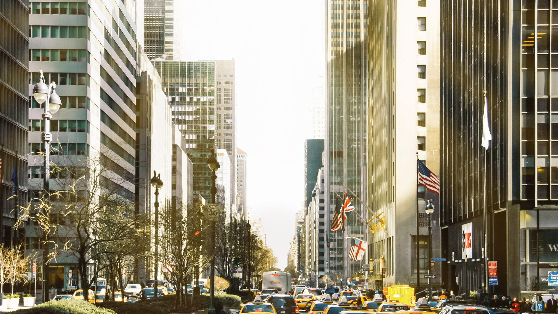 Top Companies in NYC | RoboApply